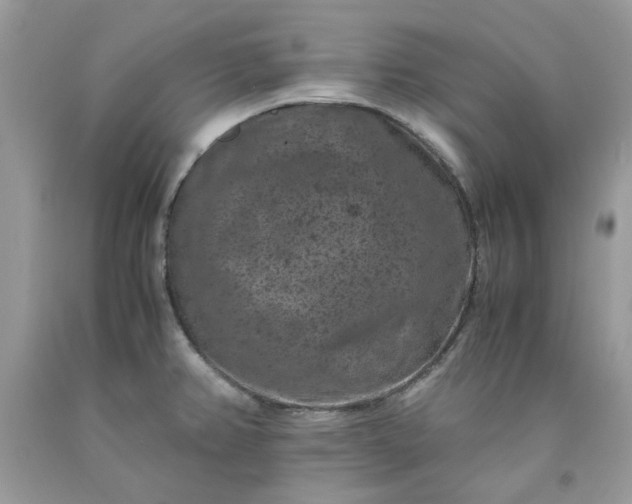 X0000091651382200709060950