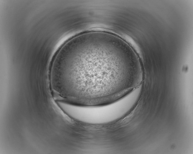 X0000091651384200709060950