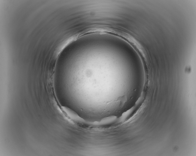 X0000091651385200709060950