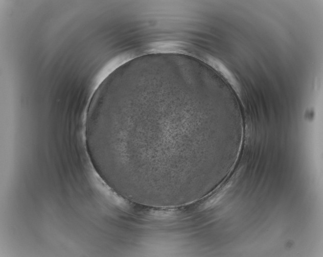 X0000091651386200709060950