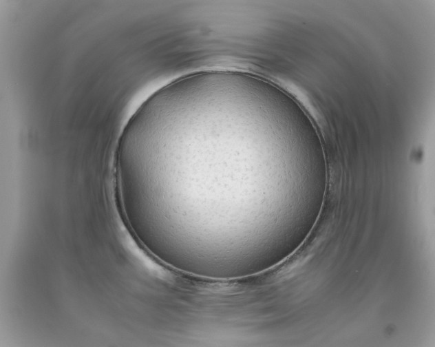 X0000091651387200709060949