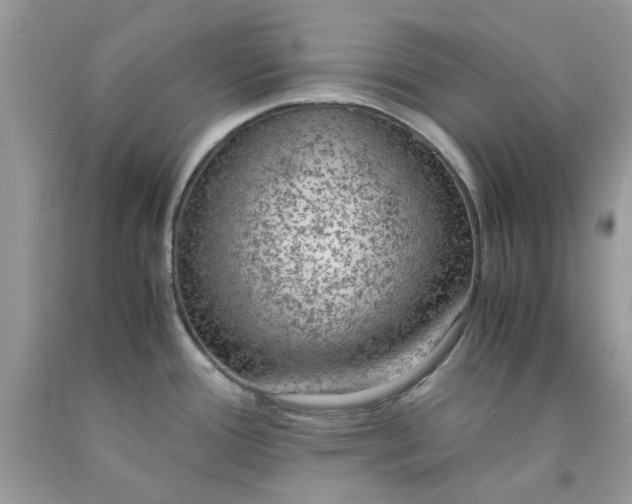 X0000091651388200709060949