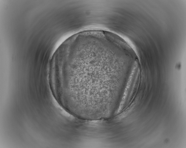 X0000091651390200709060949