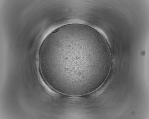 X0000091651391200709060949