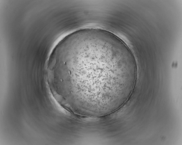 X0000091651392200709060949