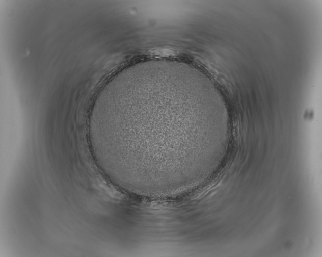 X0000091651393200709060949