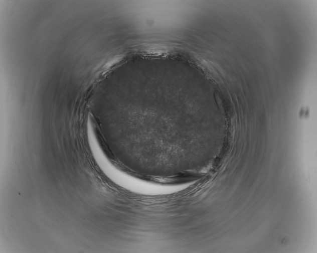 X0000091651394200709060949