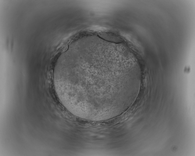 X0000091651397200709060949