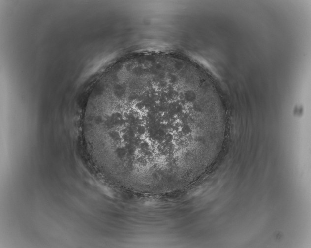 X0000091651399200709060949