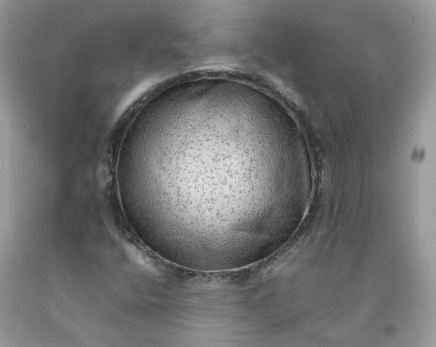 X0000091651400200709060949