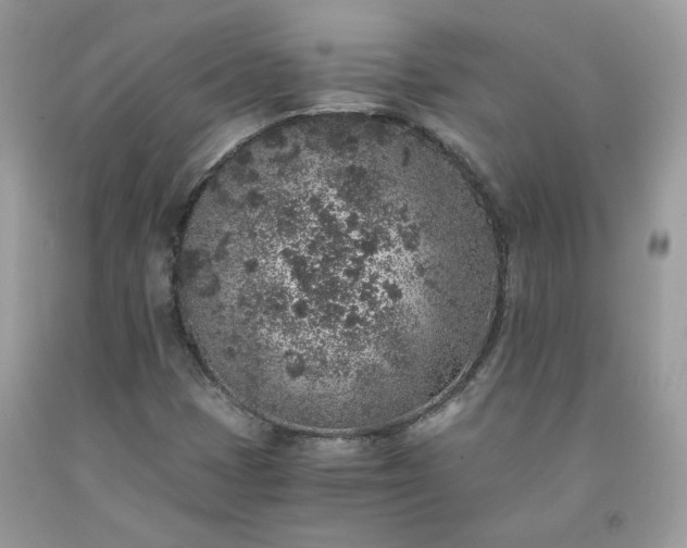 X0000091651401200709060949