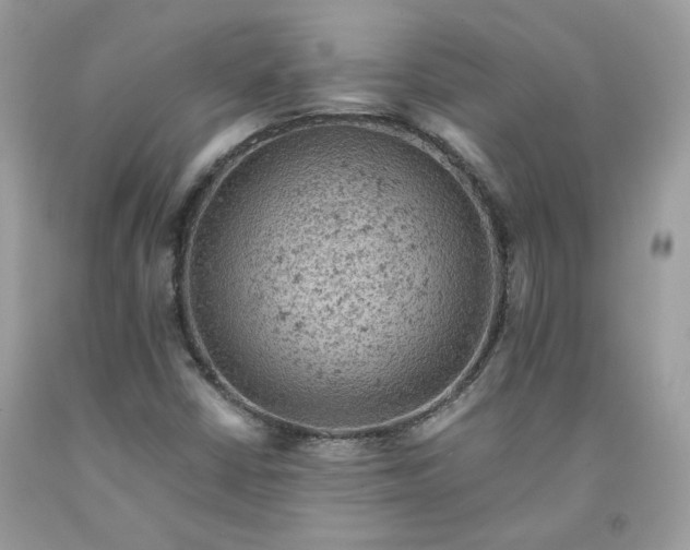 X0000091651402200709060949