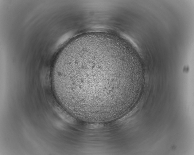 X0000091651403200709060949