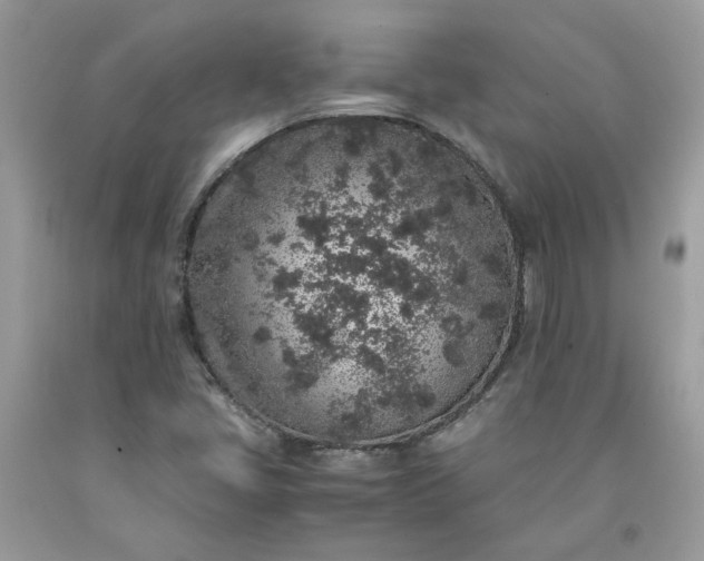 X0000091651405200709060949