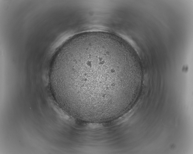 X0000091651407200709060949