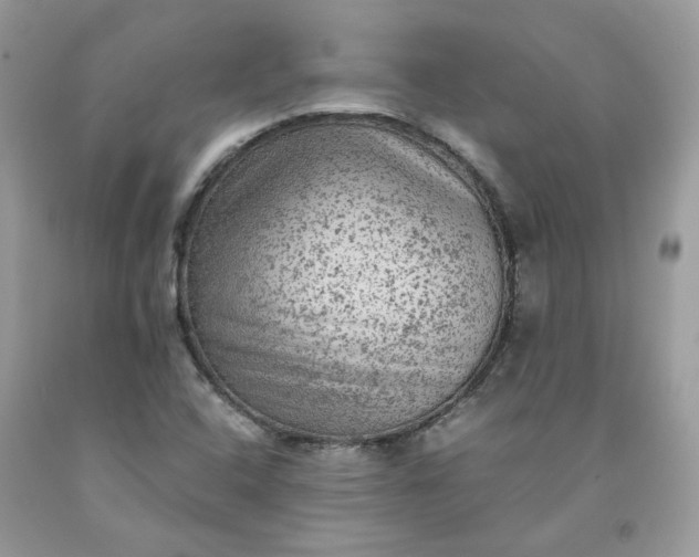 X0000091651408200709060949