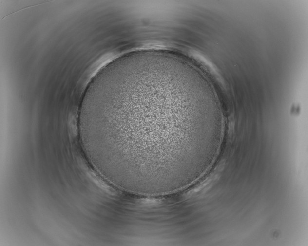 X0000091651409200709060949