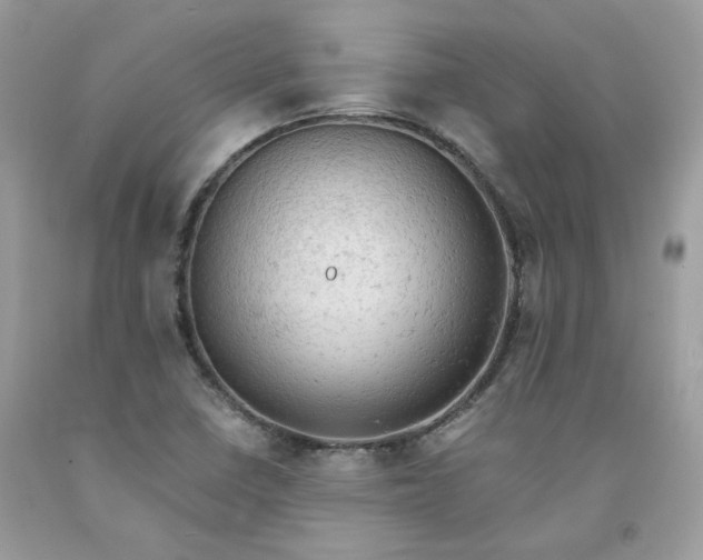 X0000091651410200709060949