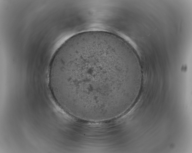 X0000091651415200709060949