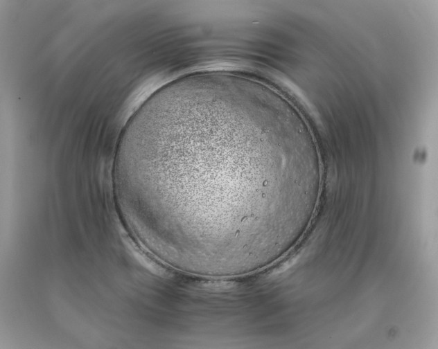 X0000091651417200709060949