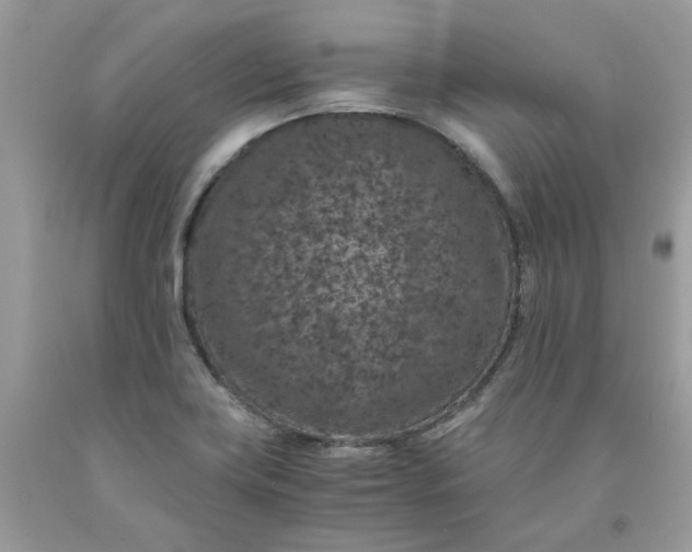 X0000091651419200709060949