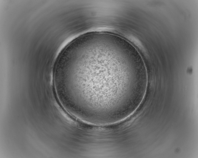 X0000091651420200709060949