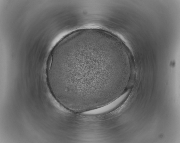 X0000091651422200709060949