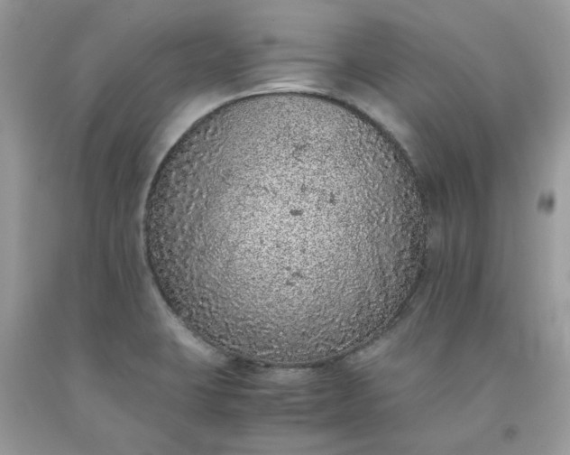 X0000091651423200709060949