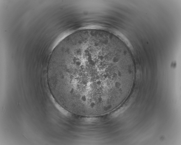 X0000091651425200709060949