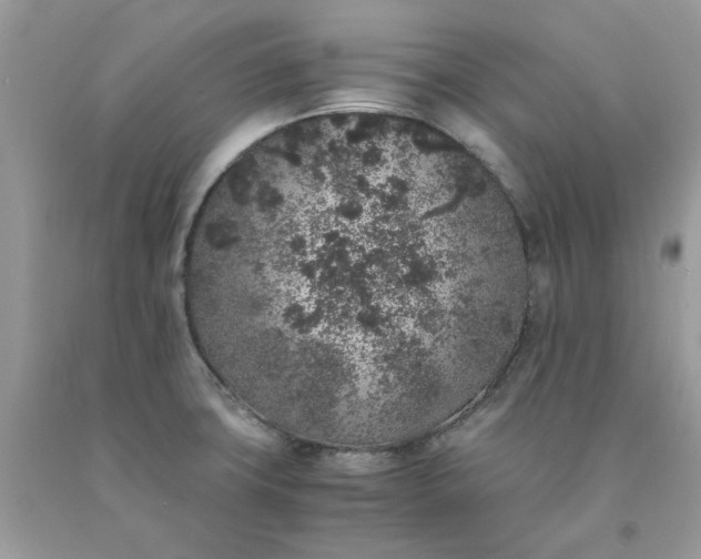 X0000091651427200709060949