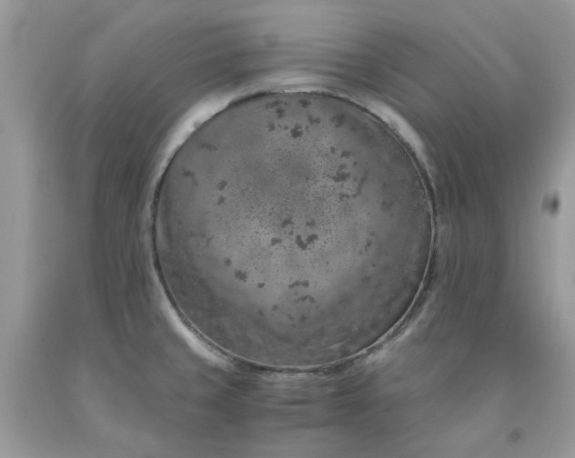 X0000091651429200709060949