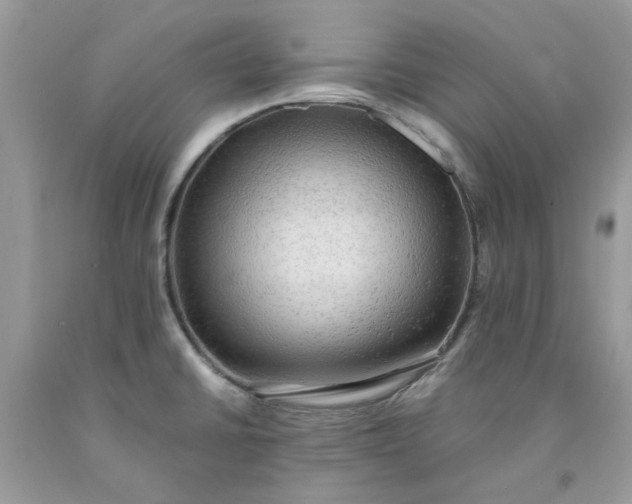 X0000091651430200709060949