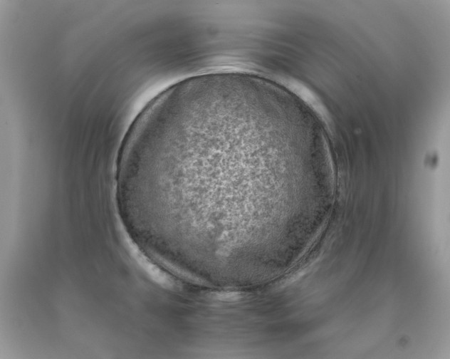 X0000091651431200709060949