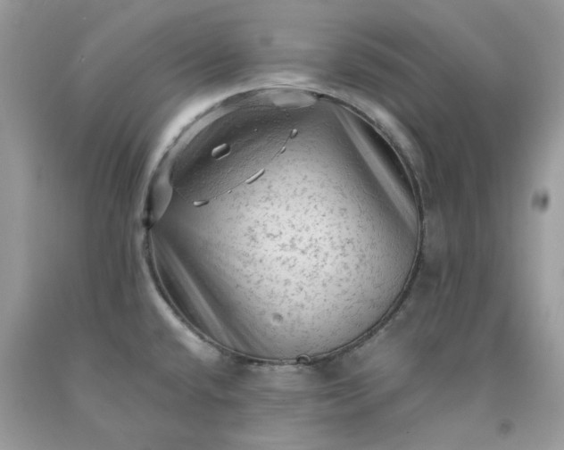 X0000091651432200709060949