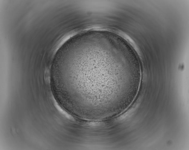 X0000091651433200709060949