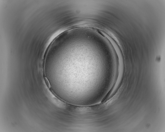 X0000091651434200709060949