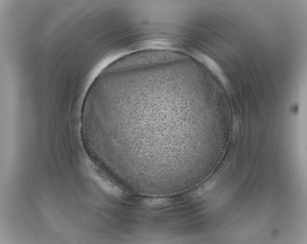 X0000091651435200709060949