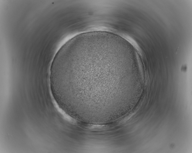 X0000091651439200709060949