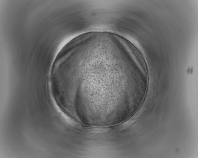 X0000091651440200709060949