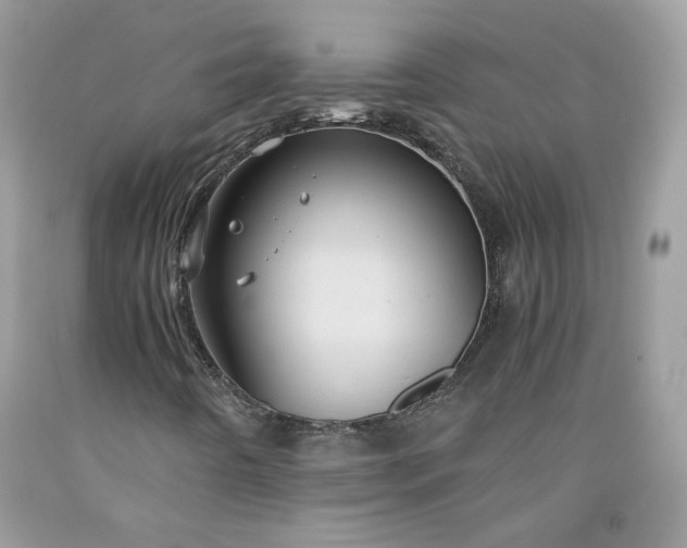 X0000091651442200709060949