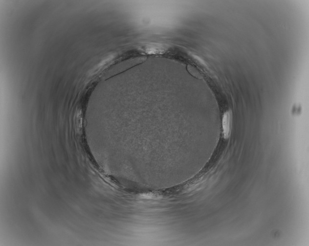 X0000091651443200709060949