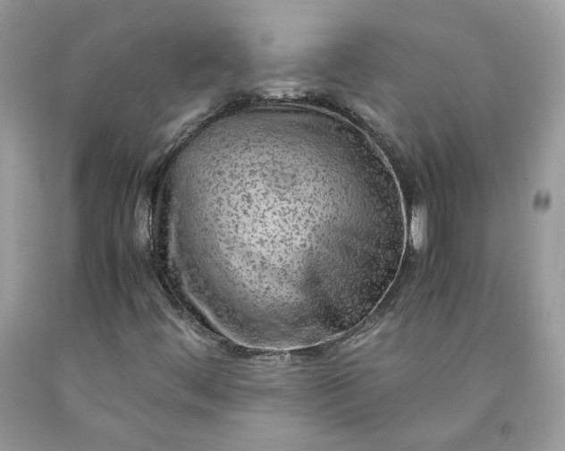 X0000091651444200709060949