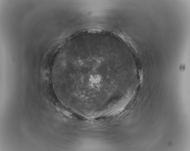 X0000091651445200709060949