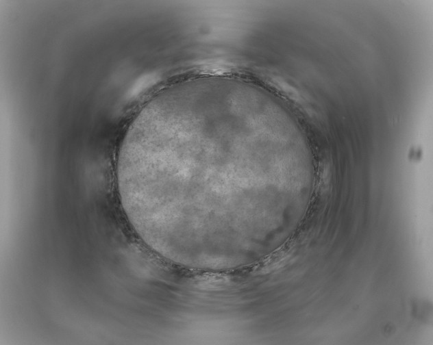 X0000091651446200709060949