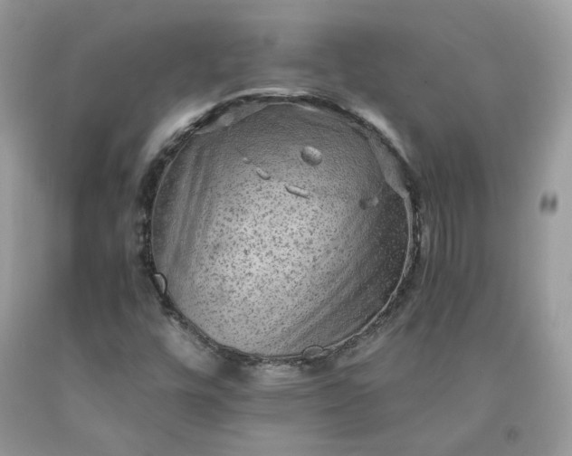 X0000091651448200709060949