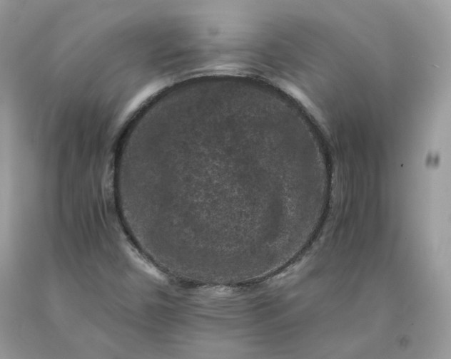 X0000091651450200709060949