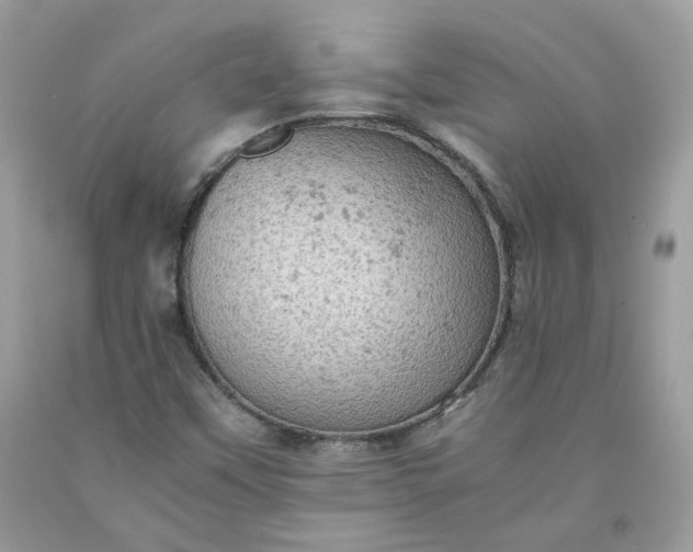 X0000091651451200709060949