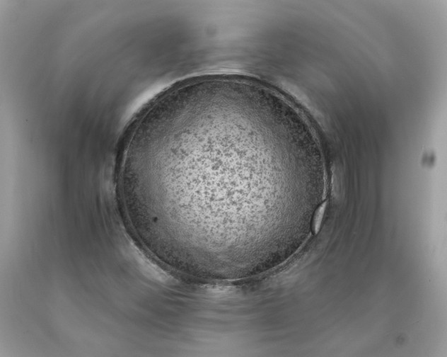 X0000091651452200709060949