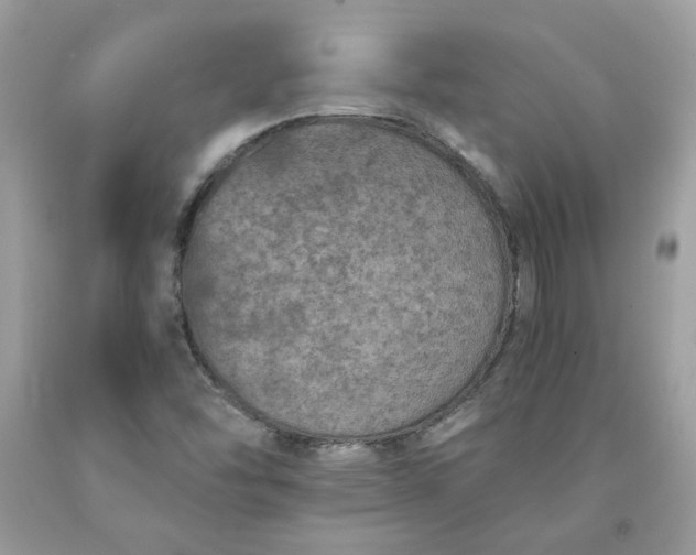 X0000091651454200709060948