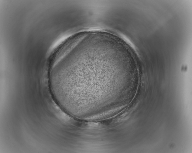 X0000091651456200709060948